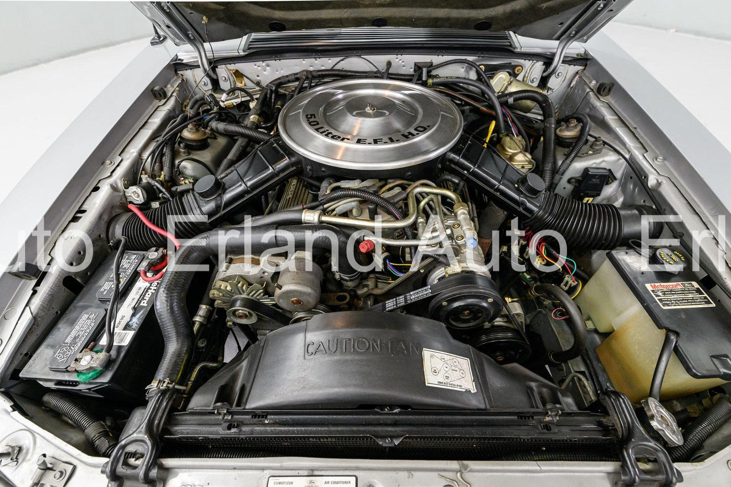 1984 Ford Mustang GT