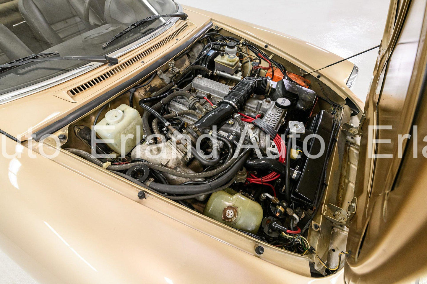 1986 Alfa Romeo Spider Veloce